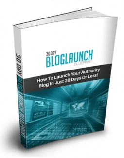 30 Day Blog Launch Blueprint Personal Use Ebook