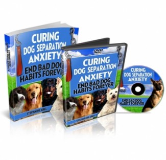 Curing Dog Separation Blog PLR Ebook With Audio & Video