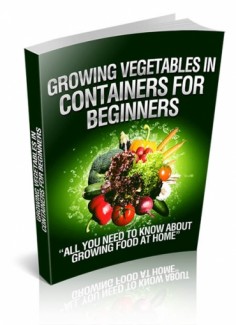 Growing Vegetables In Containers For Beginners Resale Rights Ebook