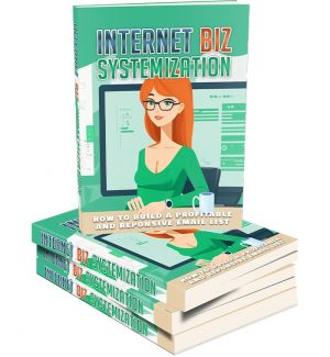 Internet Biz Systemization MRR Ebook