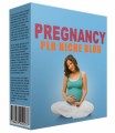 Pregnancy Plr Niche Blog V2 PLR Template 