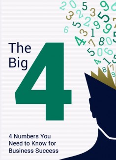 The Big 4 Personal Use Ebook