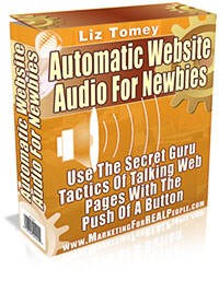 Automatic Website Audio For Newbies MRR Software