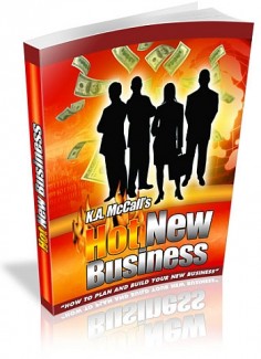 Hot New Business Mrr Ebook