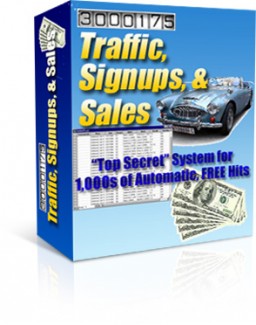 Traffic Signups Sales PLR Ebook