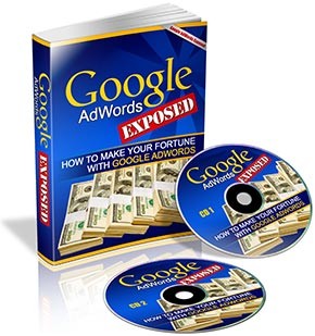 Google Adwords Exposed Plr Ebook With Audio