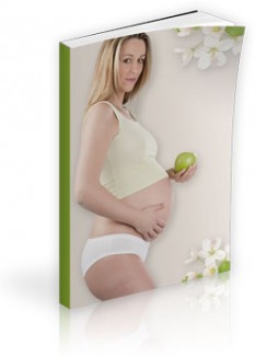 Pregnancy Nutrition Plr Ebook With Resale Rights Minisite Template