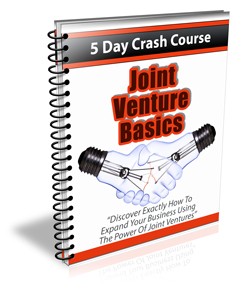 Joint Venture Basics Newsletter PLR Autoresponder Messages