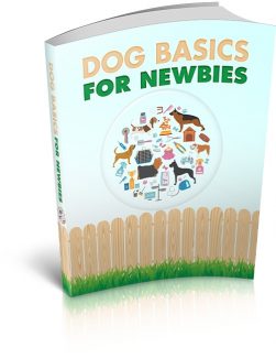 Dog Basics For Newbies PLR Ebook