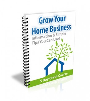 Grow Your Home Business Ecourse PLR Autoresponder Messages