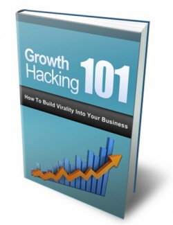 Growth Hacking 101 PLR Ebook