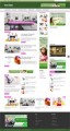 House Cleaner Blog Personal Use Template 