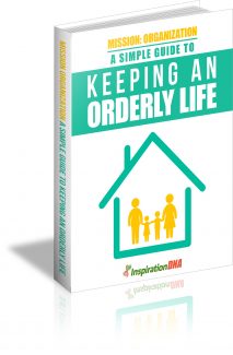Keeping An Orderly Life MRR Ebook