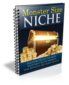 Monster Size Niche PLR Ebook
