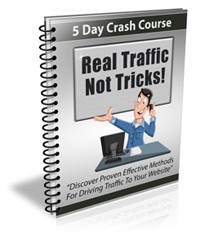 Real Traffic Not Tricks Newsletter PLR Autoresponder Messages