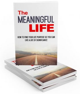 The Meaningful Life MRR Ebook