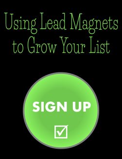 Using Lead Magnets To Grow Your List PLR Ebook