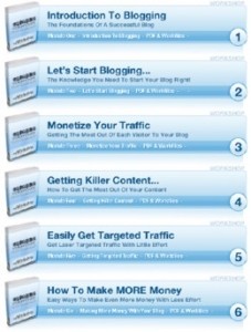 Blogging For Profits Mrr Ebook With Video