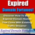 Expired Domain Fortunes MRR Ebook