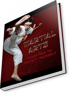 Martial Arts Plr Ebook With Resale Rights Minisite Template
