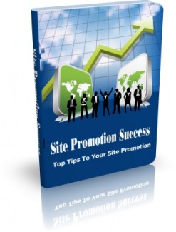 Site Promotion Success Give Away Rights Ebook