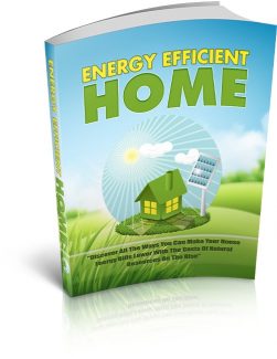 Energy Efficient Home PLR Ebook