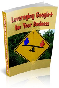 Leveraging Google MRR Ebook