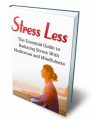 Stress Less MRR Ebook
