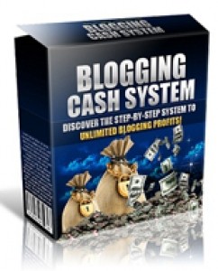 Blogging Cash System Plr Ebook With Video