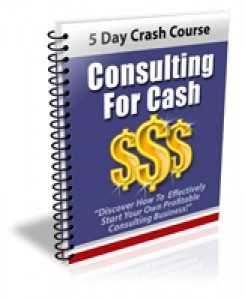 Consulting For Cash Plr Autoresponder Messages