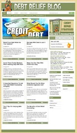 Debt Relief Niche Blog Personal Use Template