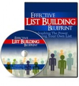 Effective List Building Blueprint Personal Use Video
