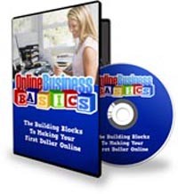 Online Business Basics Personal Use Ebook With Video