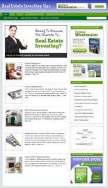 Real Estate Investing Niche Blog Personal Use Template With Video
