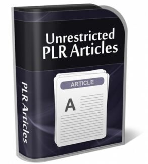 Streamlined Internet Marketing PLR Article