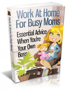 Work At Home For Busy Moms MRR Ebook With Video