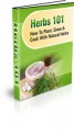 Herbs 101 - How To Plant, Grow & Cook With Natural ...