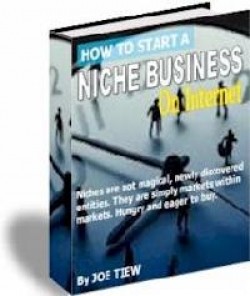 How To Start A Niche Business On Internet Resale Rights Ebook