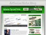 Adsense Niche Blog Personal Use Template With Video