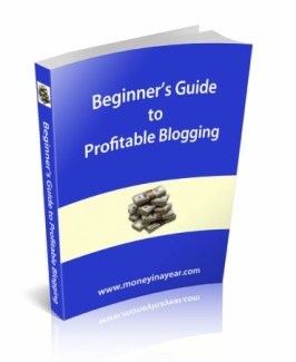 Beginner’s Guide To Profitable Blogging Resale Rights Ebook