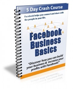 Facebook Business Basics Plr Autoresponder Messages