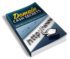 Domain Cash Secrets Resale Rights Ebook