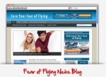 Fear Of Flying Niche Wordpress Theme Personal Use Template