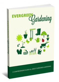 Evergreen Gardening MRR Ebook