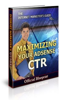 Maximize Your Adsense Ctr PLR Ebook