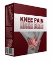 New Knee Pain Flipping Niche Blog Personal Use Template 