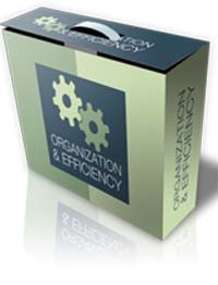 Organization And Efficiency Personal Use Ebook