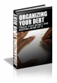 Organizing Your Debt PLR Ebook