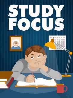 Study Focus MRR Ebook
