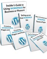 Using WordPress For Business Or Pleasure Personal Use Template